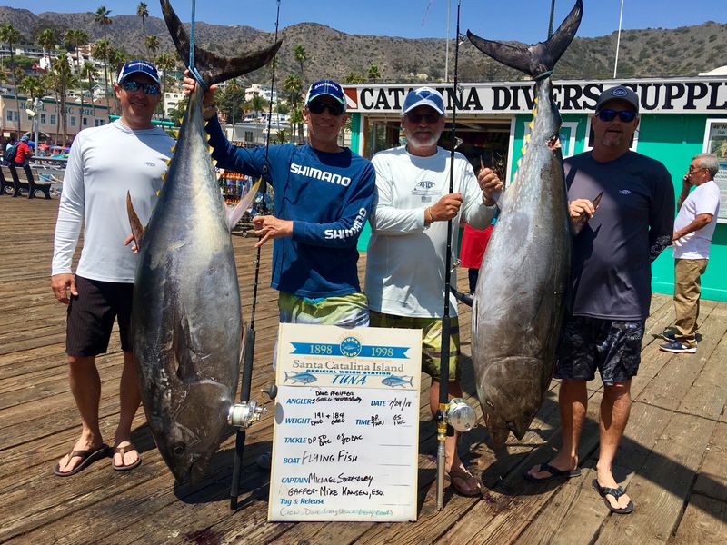 Calico Fishing