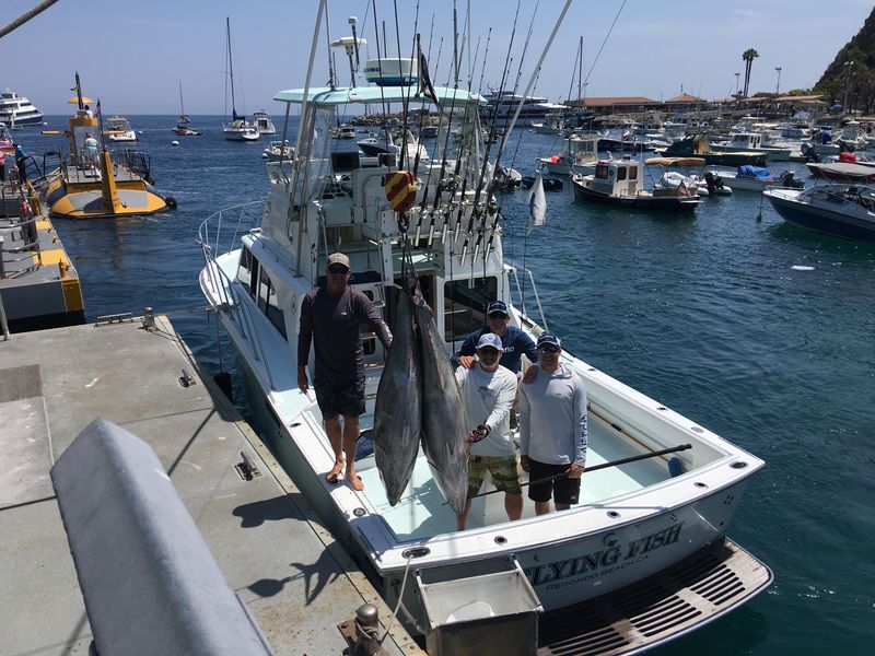 Marlin