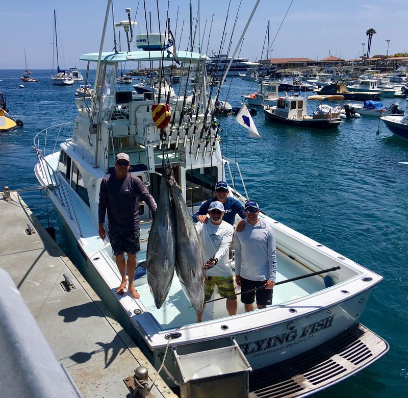 Tuna Fishing